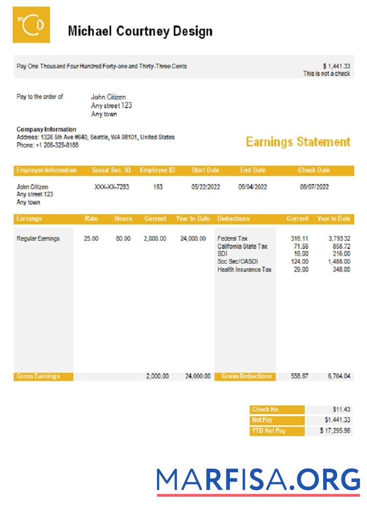 Downloadable USA Michael Courtney Design graphic company pay stub sample